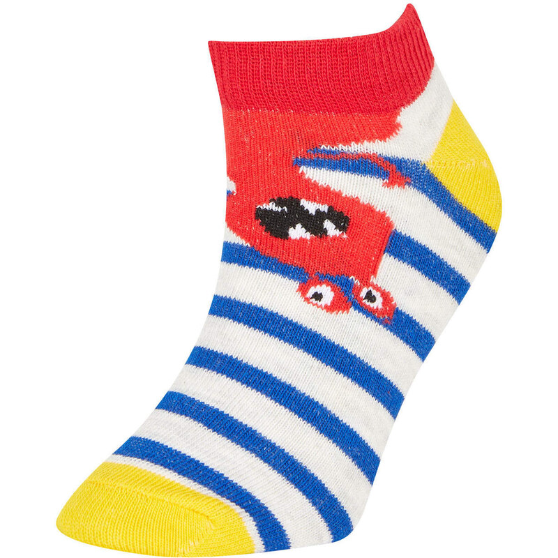 DEFACTO Boy 5 Piece Short Socks