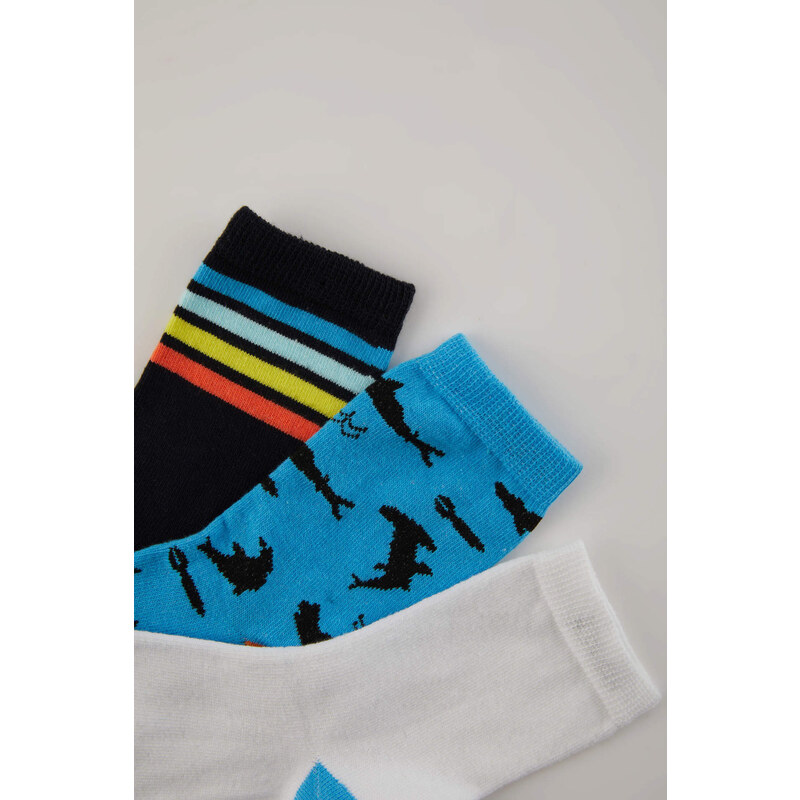 DEFACTO Boy 3 piece Long sock