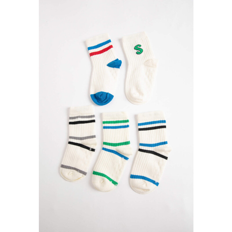 DEFACTO Baby Boy 5 Piece Long sock