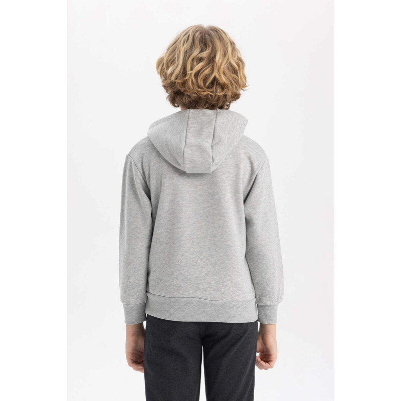 DEFACTO Boy Printed Hooded Thick Sweatshirt