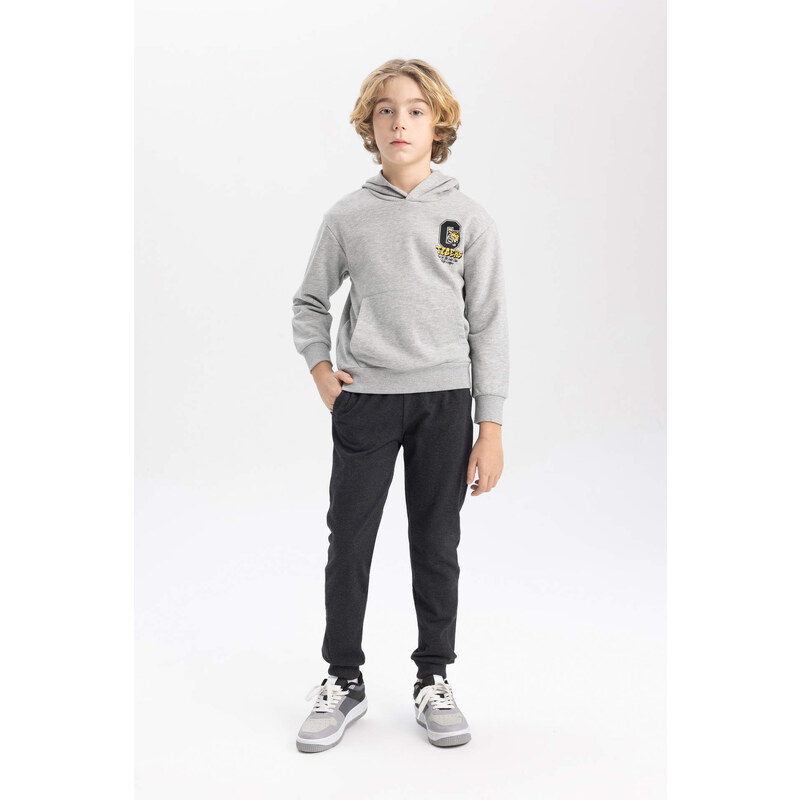 DEFACTO Boy Printed Hooded Thick Sweatshirt