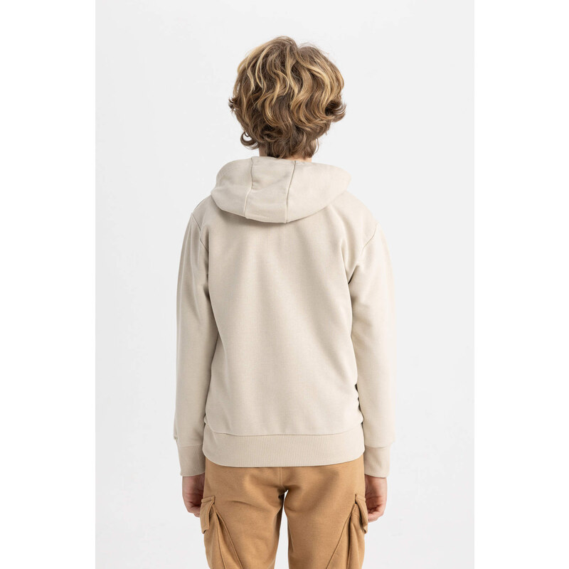 DEFACTO Boy Regular Fit Hooded Sweatshirt