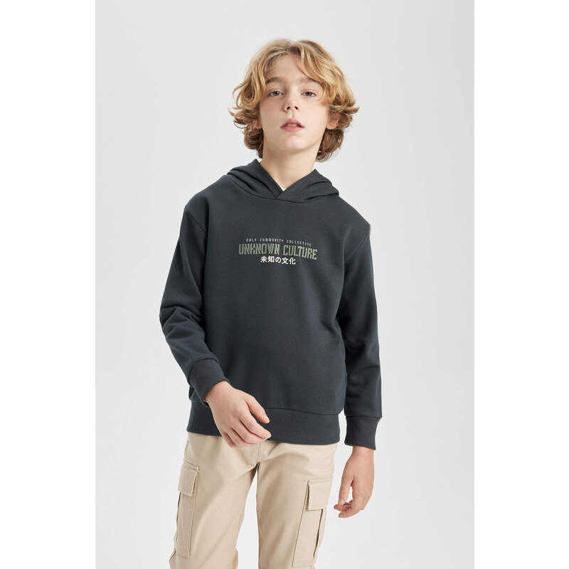 DEFACTO Boy Back Printed Hooded Sweatshirt