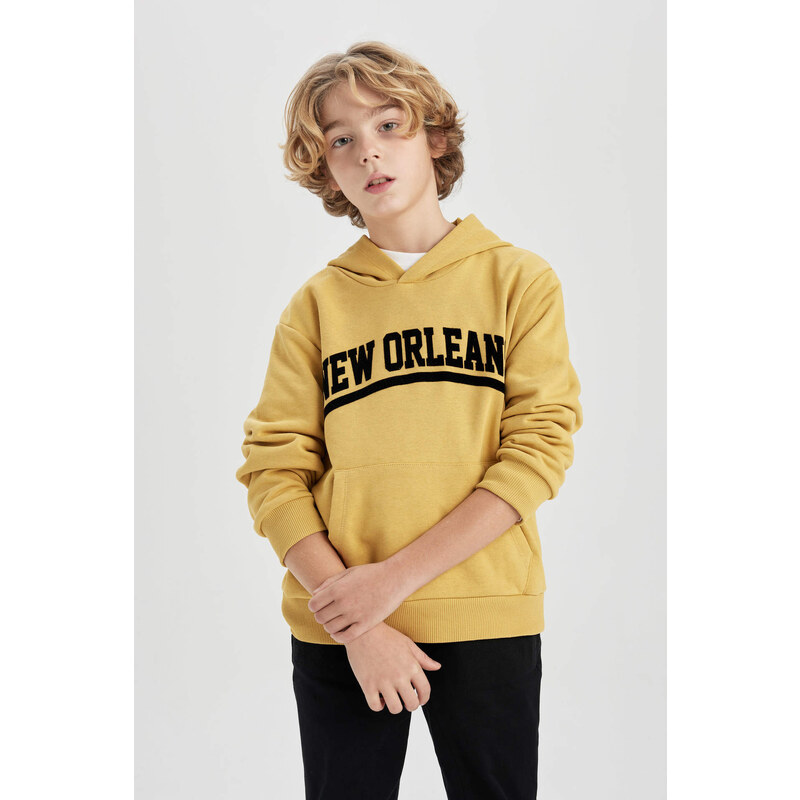 DEFACTO Boy Hooded Thick Sweatshirt Fabric Sweatshirt