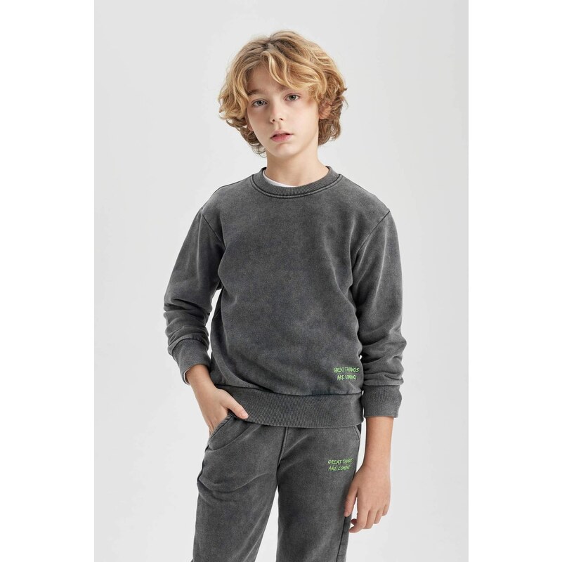 DEFACTO Oversize Fit Crew Neck Sweatshirt