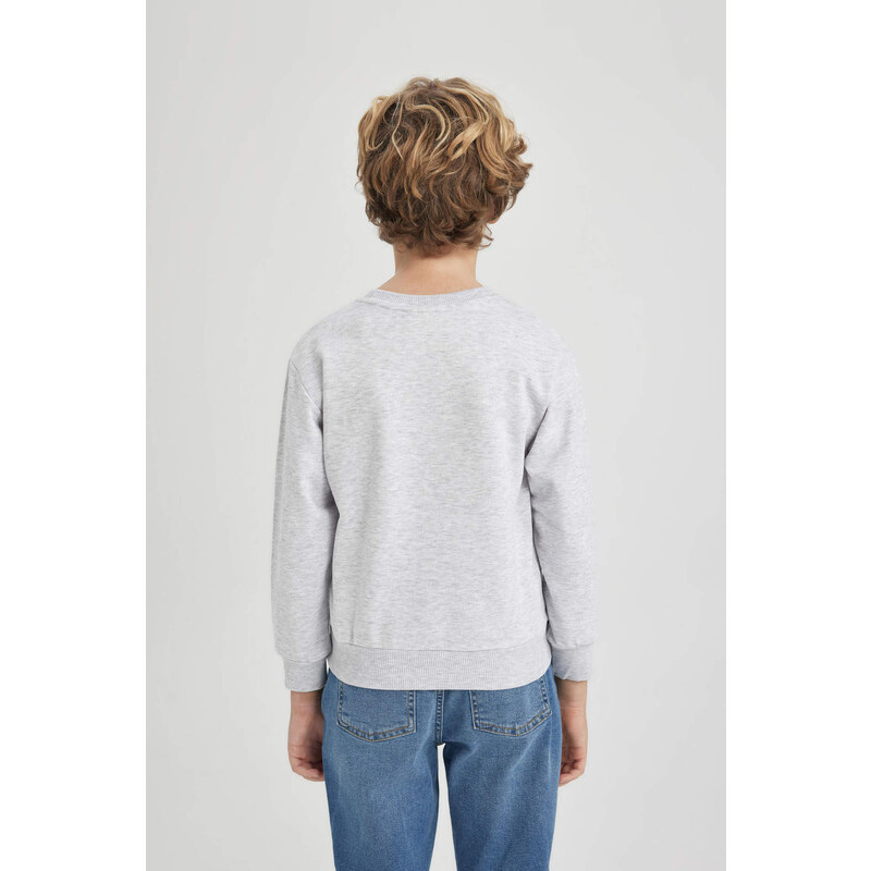 DEFACTO Boy Regular Fit Crew Neck Sweatshirt