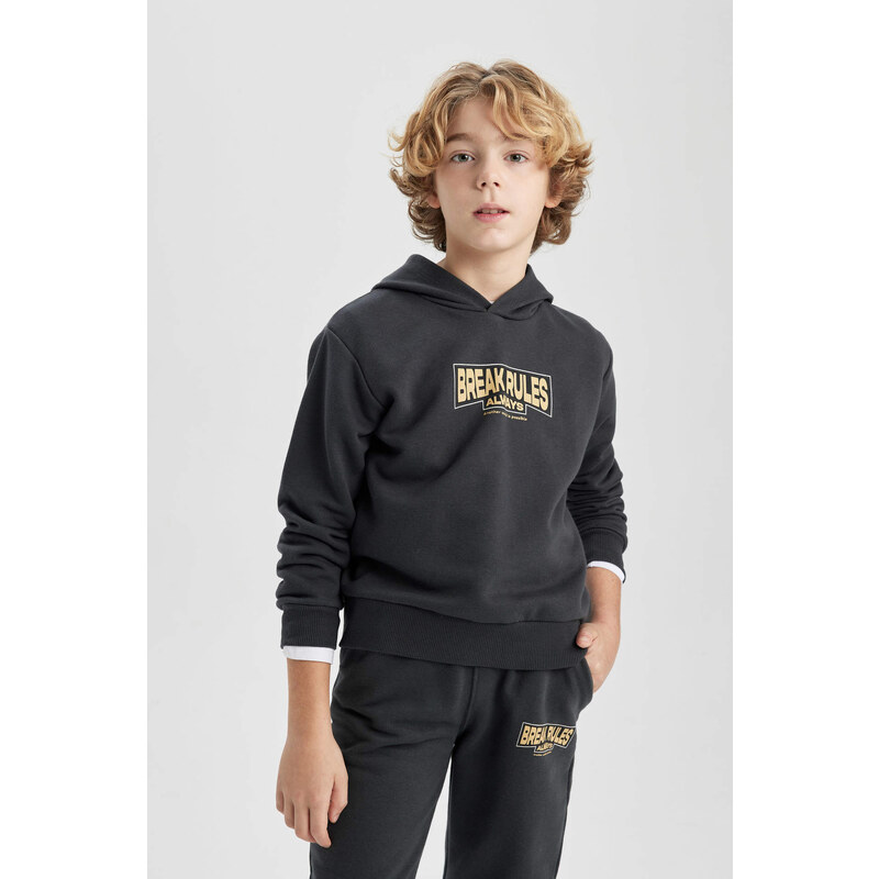 DEFACTO Boy Printed Hooded Thick Sweatshirt