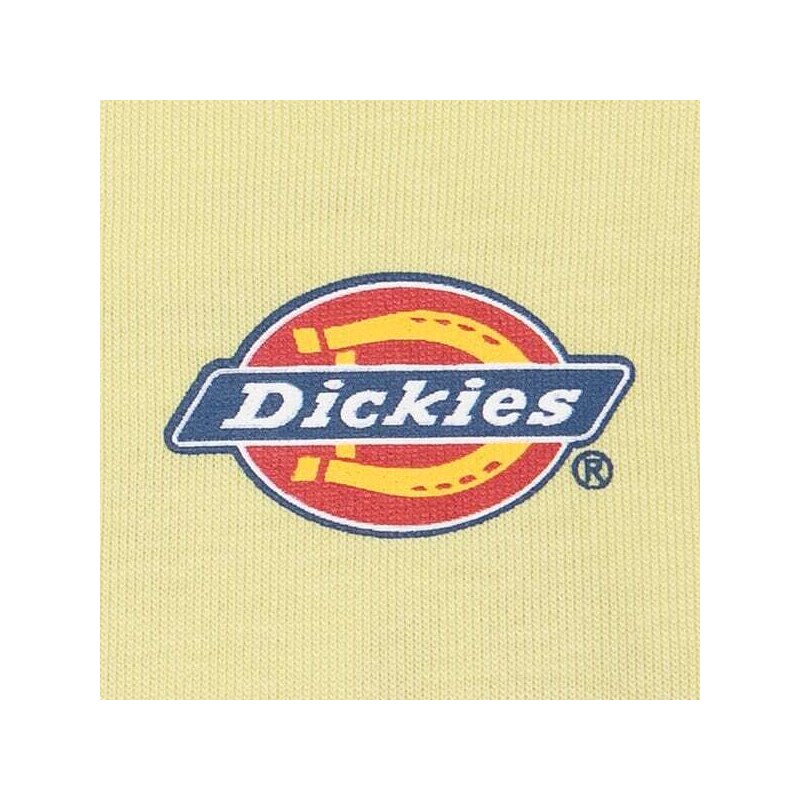 Dickies Tričko Ss Mapleton Tee Muži Oblečení Trička DK0A4XDBH141