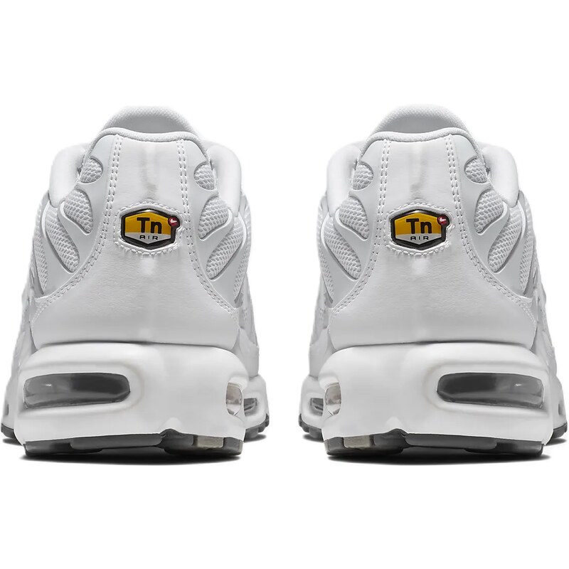 Nike Air Max Plus White