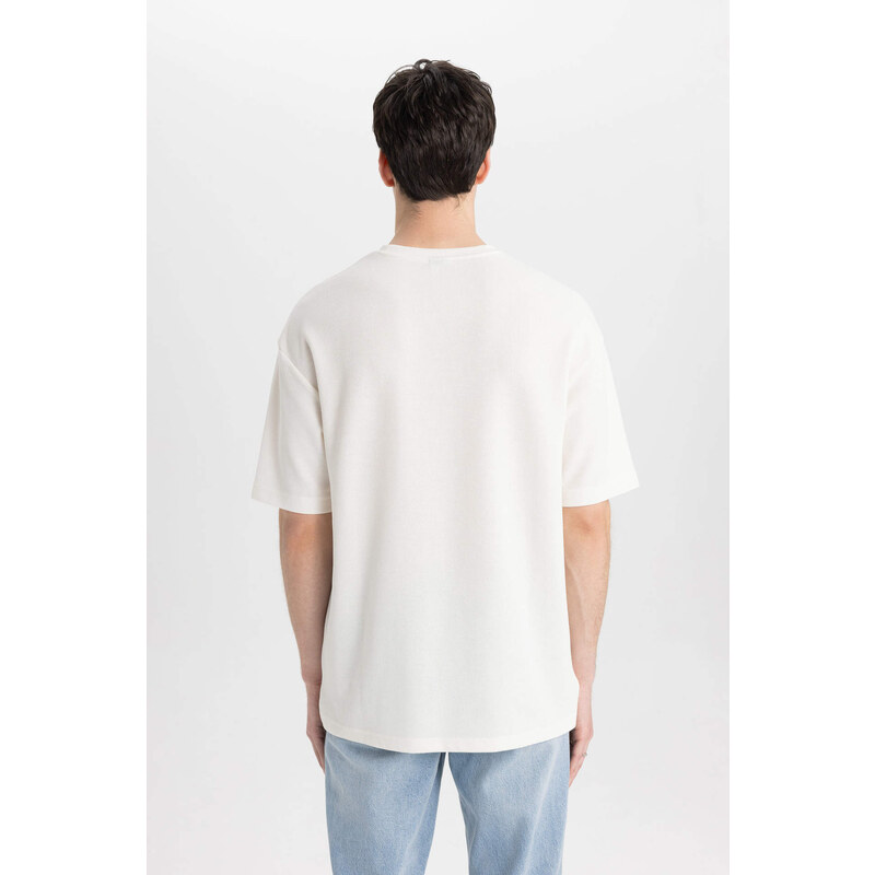 DEFACTO Comfort Fit Crew Neck T-Shirt