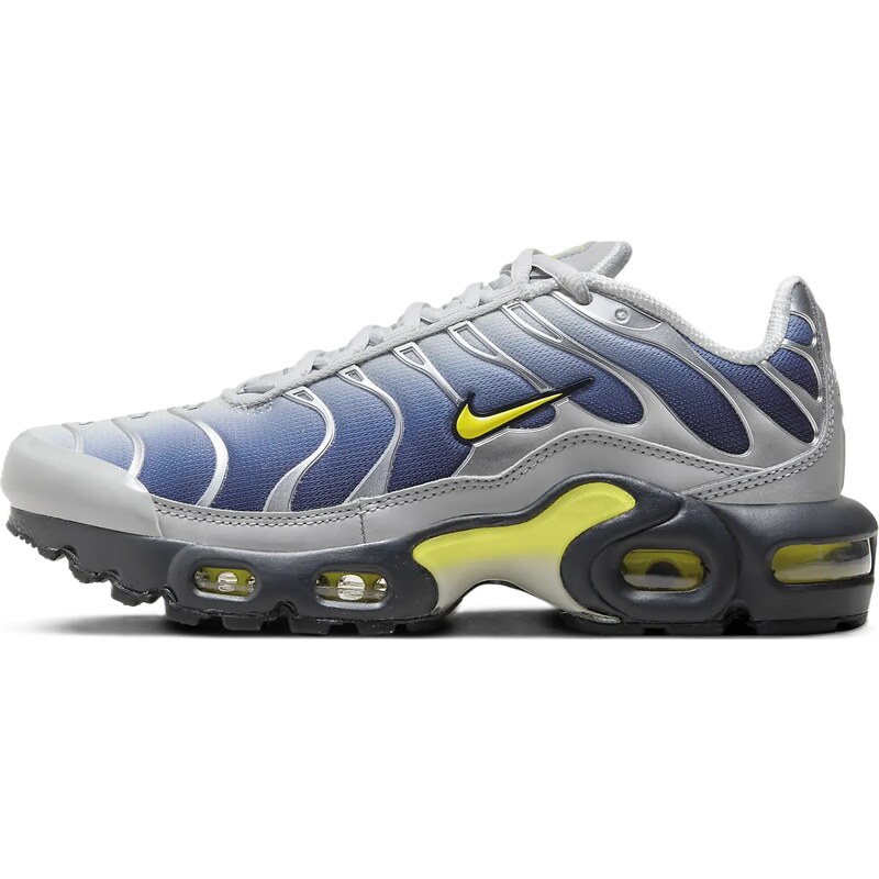 Nike Air Max Plus Obsidian Silver (GS)