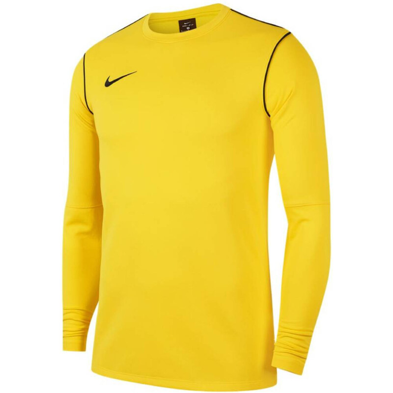 Triko s dlouhým rukávem Nike Y NK DF PARK20 CREW TOP R fj3008-719