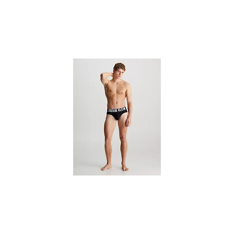 Pánské spodní prádlo HIP BRIEF 3PK 000NB3610ALXO - Calvin Klein