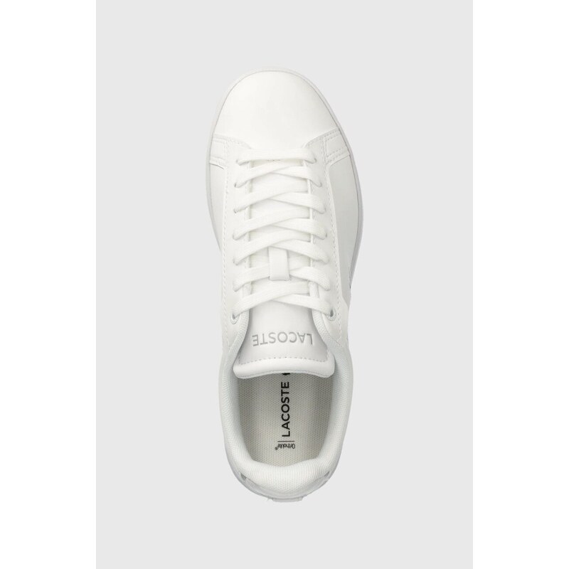 Dětské sneakers boty Lacoste Court sneakers bílá barva