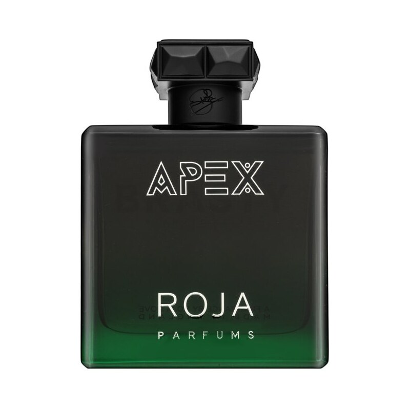 Roja Parfums Apex parfémovaná voda pro muže 100 ml