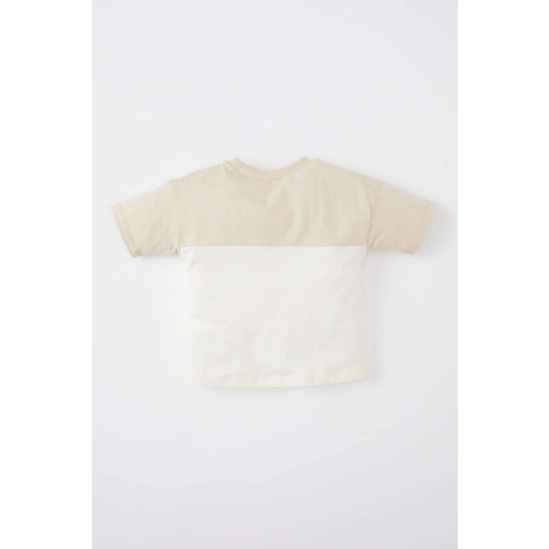 DEFACTO Baby Boy Regular Fit Crew Neck Color Block T-Shirt