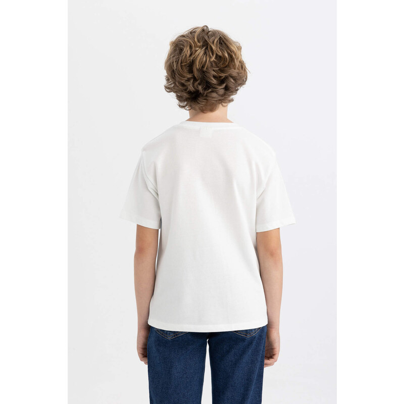 DEFACTO Regular Fit Color Block Short Sleeve T-Shirt