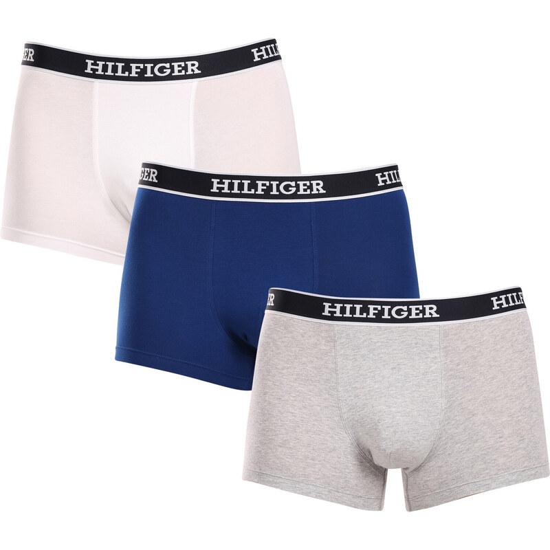3PACK pánské boxerky Tommy Hilfiger vícebarevné (UM0UM03185 0YZ)