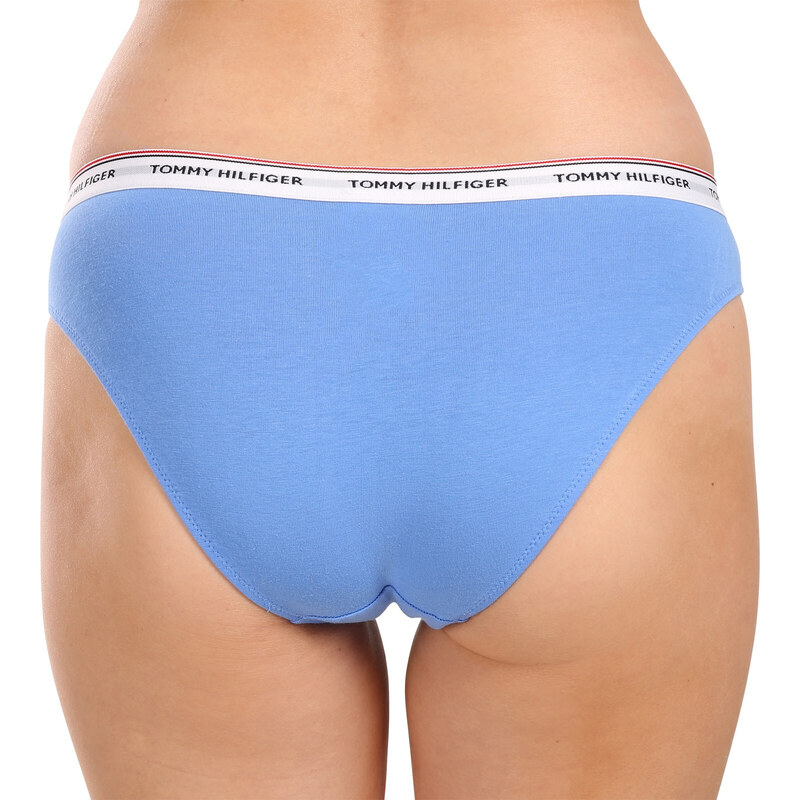 3PACK dámské kalhotky Tommy Hilfiger vícebarevné (UW0UW04895 0WR)