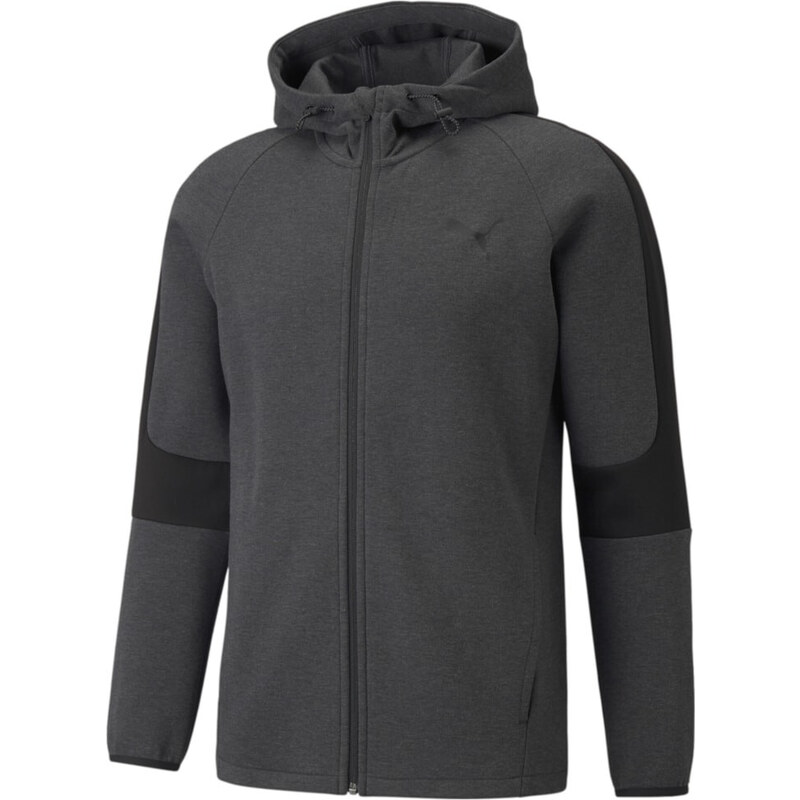 Puma EVOSTRIPE Core FZ Hoodie gray