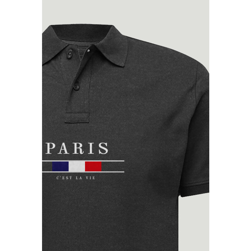 Polo Tričko Slim Fit, Barva Železitě Šedá, s Potiskem Paris La