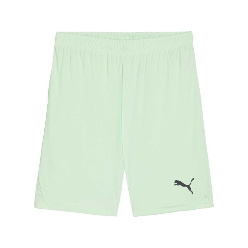 Puma TEAMGOAL SHORTS Pánské fotbalové šortky