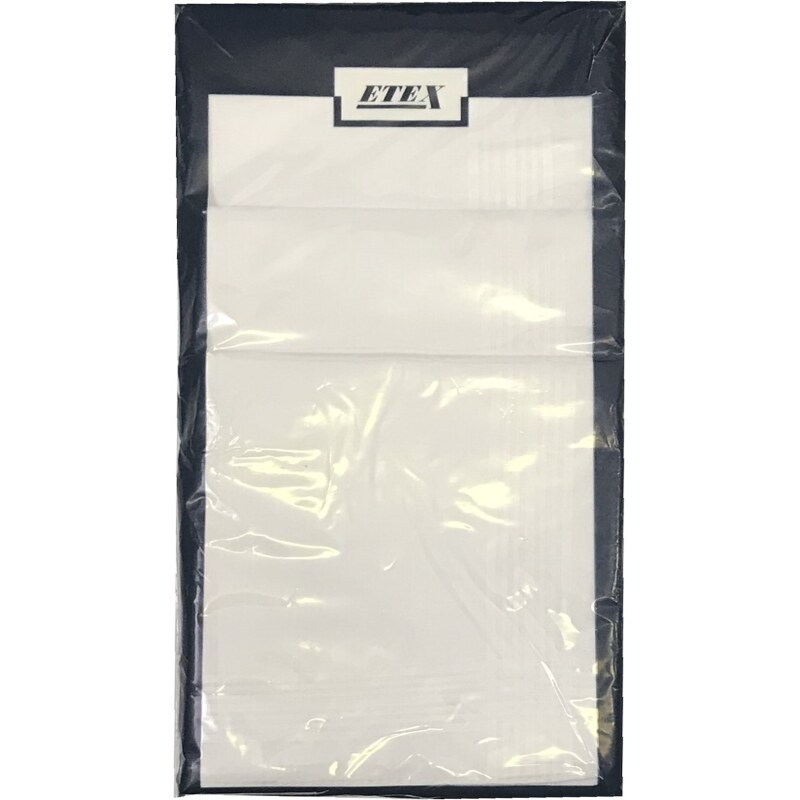 Etex Pánský kapesník M11 bílý (6 ks)