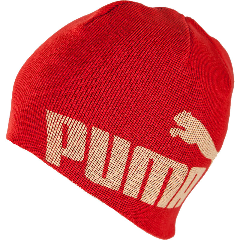 Puma NO 1 BEANIE