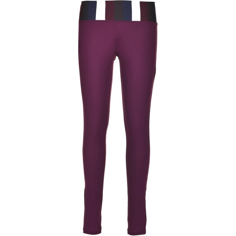 USA Pro Tight Pants Ladies Purple/Stripe 8 (XS)