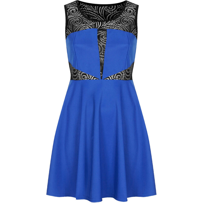 Topshop **Lace Skater Dress by WYLDR