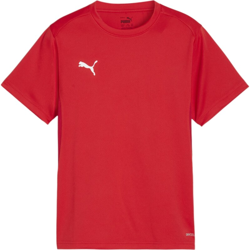 PUMA Funkční tričko TeamGoal červená / bílá