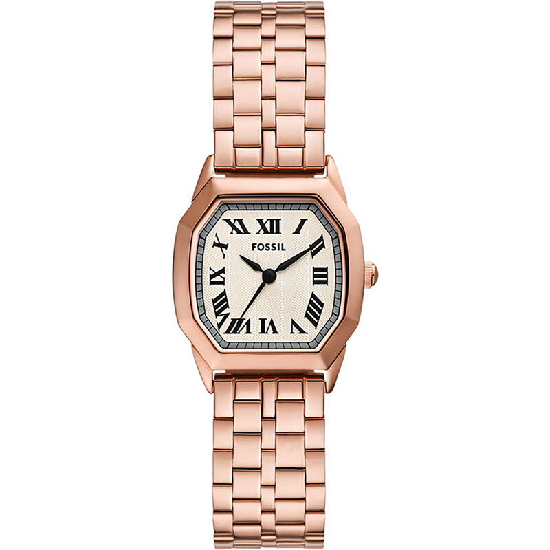 Hodinky Fossil 100344618
