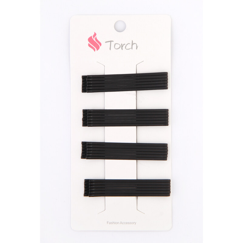 Torch Sponka do vlasů - pinetky H23518 100358822