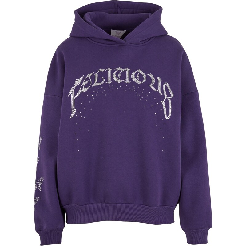 Felicious Mikina šedá / fialová 101995152
