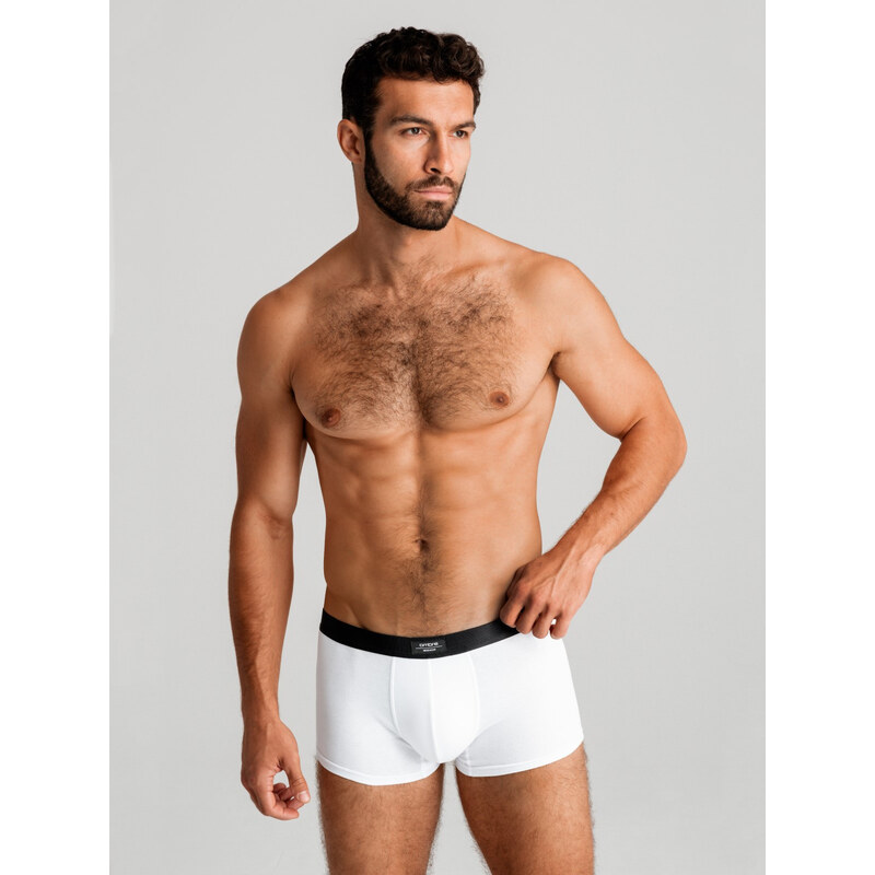 Ombre Mens underpants