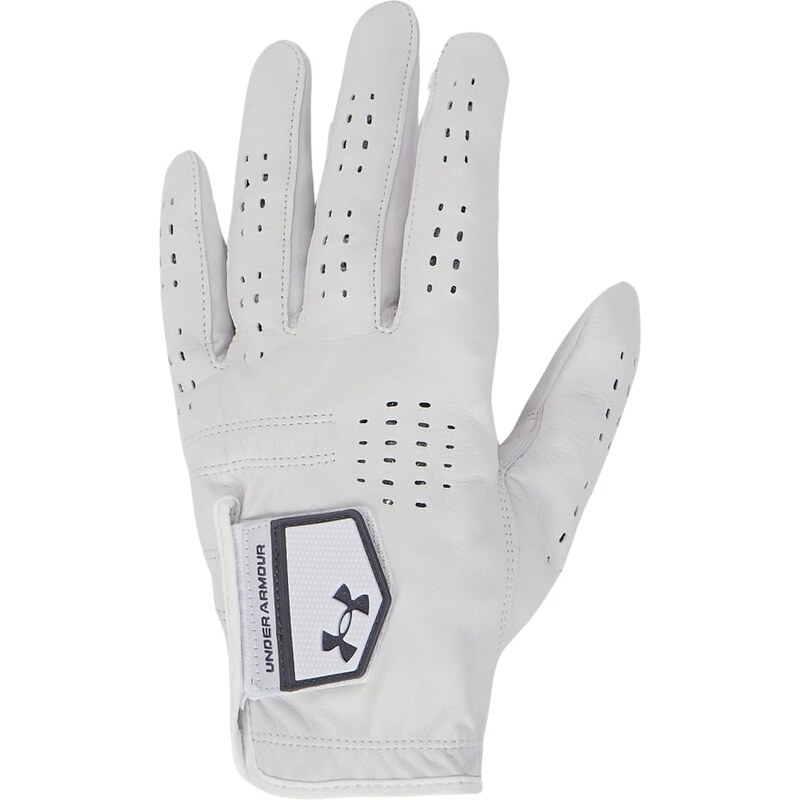 Pánská golfová rukavice Under Armour Tour Golf Glove
