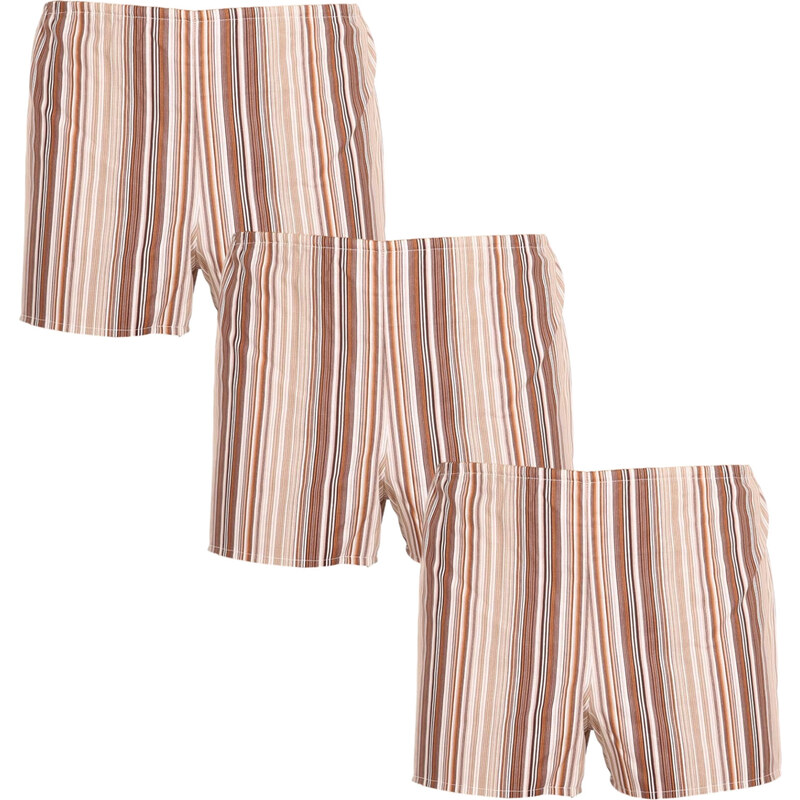 3PACK Klasické pánské trenky Foltýn hnědé s proužky nadrozměr