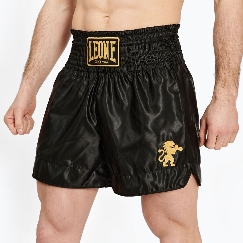 Pánské boxerské šortky LEONE 1947 Basic 2 black