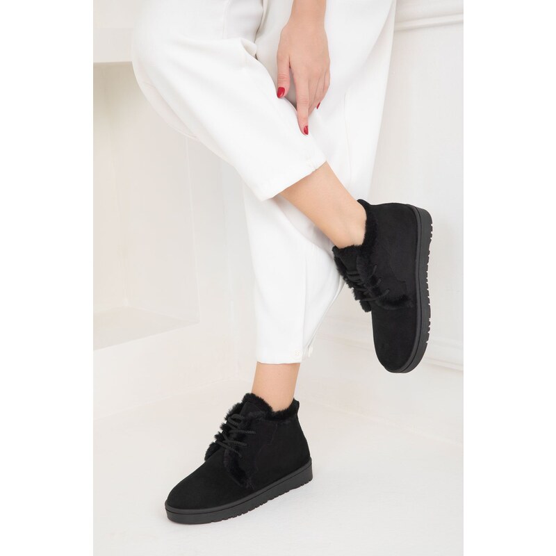 Soho Black Suede Womens Boots & Bootie 19853 107083617