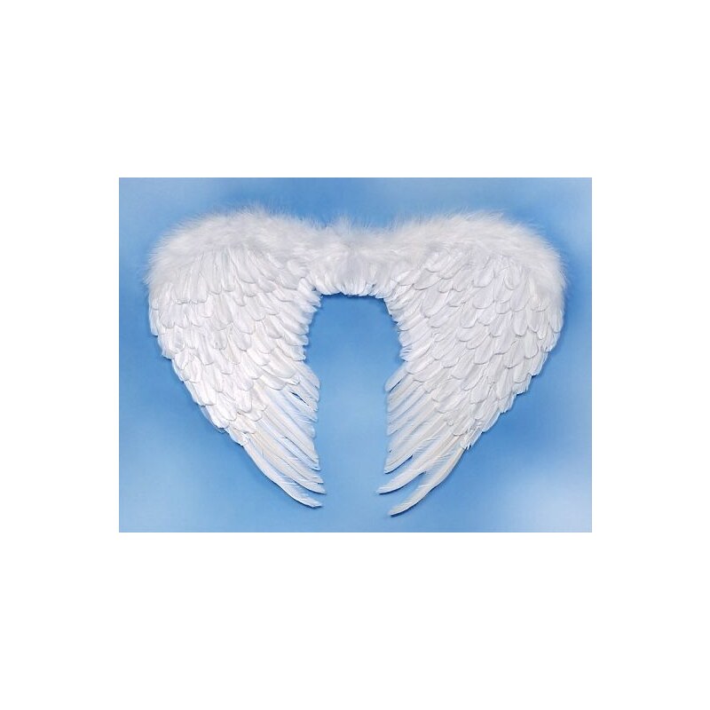 Péřová andělská křídla 80x55 cm