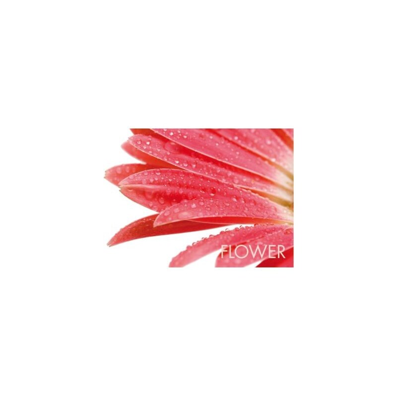 Prostírání PICTURE červený květ KELA KL-15039