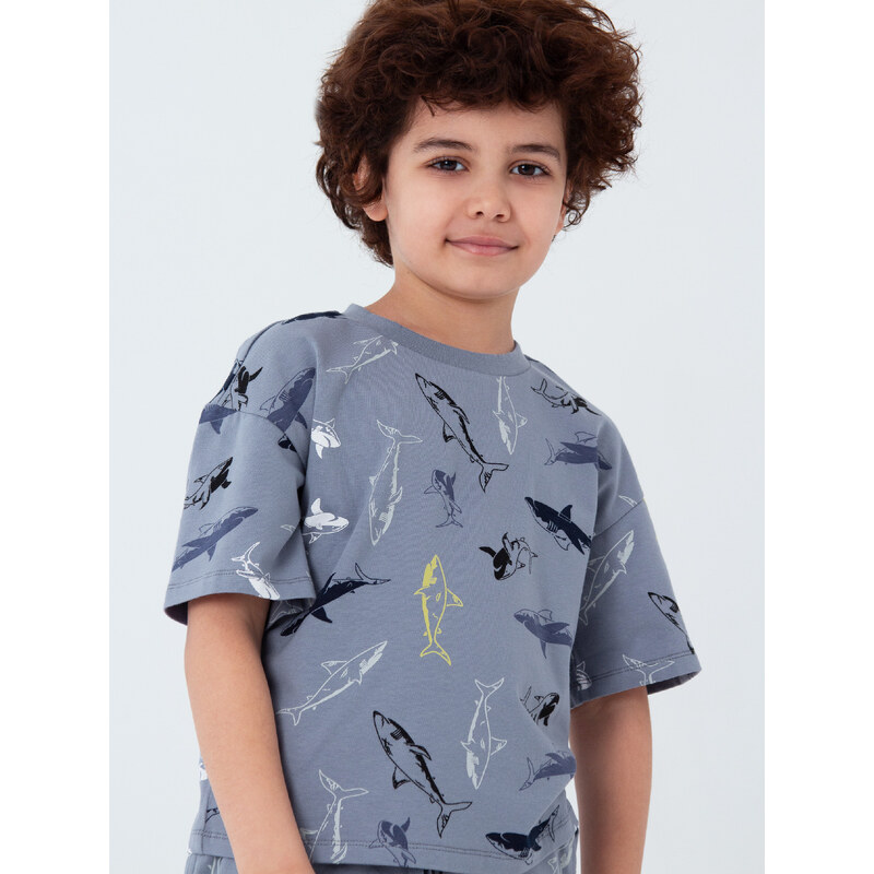 Winkiki Kids Wear Chlapecké pyžamo Shark, krátké kalhoty, krátký rukáv - šedá