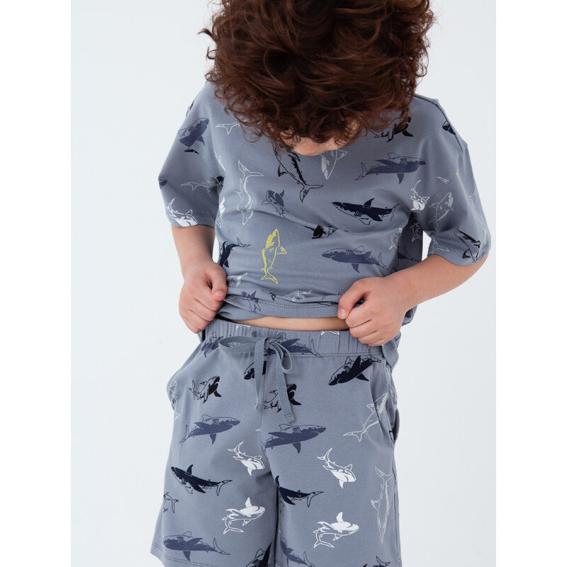 Winkiki Kids Wear Chlapecké pyžamo Shark, krátké kalhoty, krátký rukáv - šedá