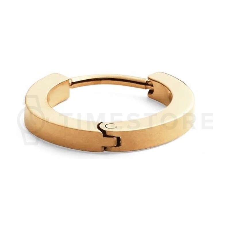 Single náušnice Daniel Wellington DW00400872 DW00400872 103498753