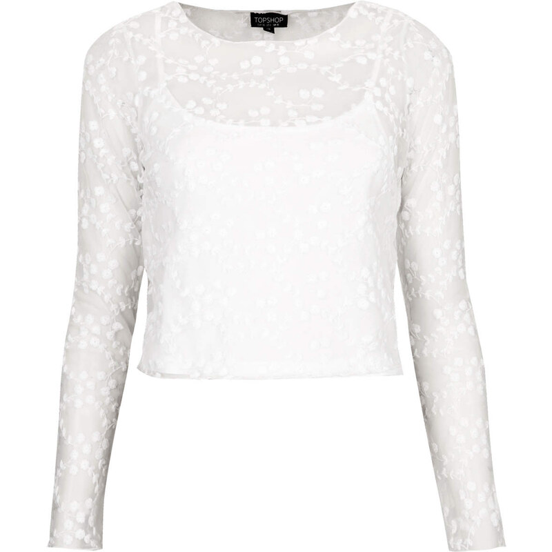 Topshop Flower Embroidered Mesh Top