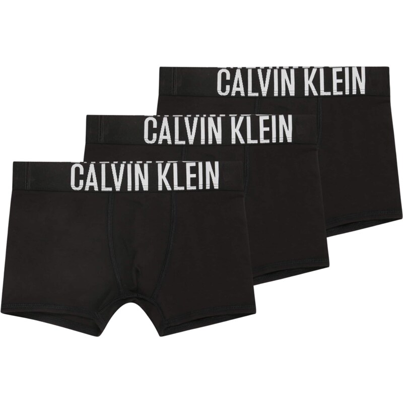 Calvin Klein Underwear Spodní prádlo černá / bílá