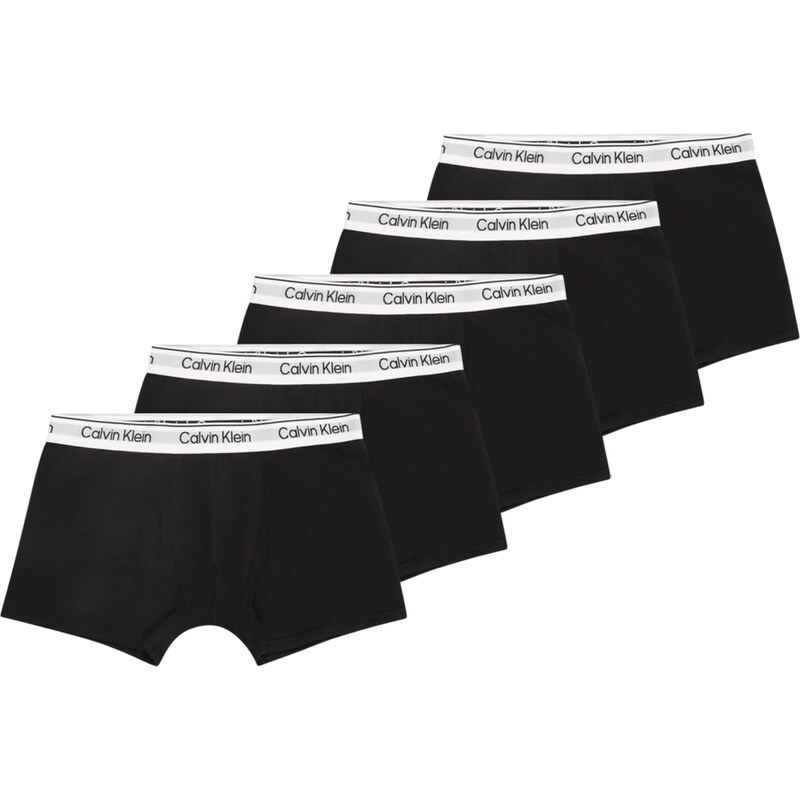 Calvin Klein Underwear Spodní prádlo světle šedá / černá / bílá