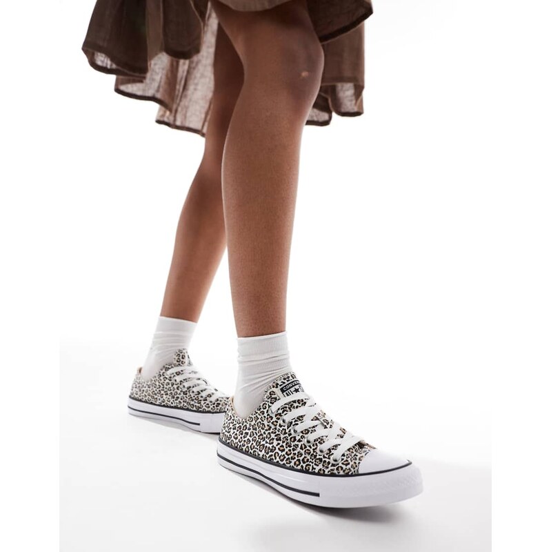 Converse Chuck Taylor All Star Ox trainers in leopard print-Multi 104169681