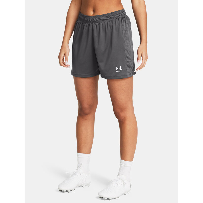 Dámské kraťasy Under Armour UA Ws Ch. Knit Short-GRY - Dámské