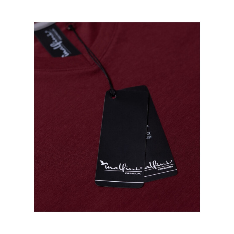 Action Vneck tričko pánské model 20642633 red - MALFINI, a.s.